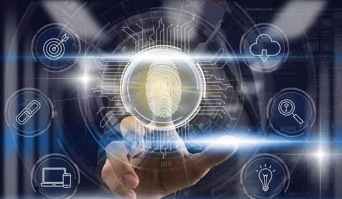 區(qū)塊鏈技術(shù)如何破除信息孤島壁壘 信息技術(shù)咨詢服務(wù)的視角